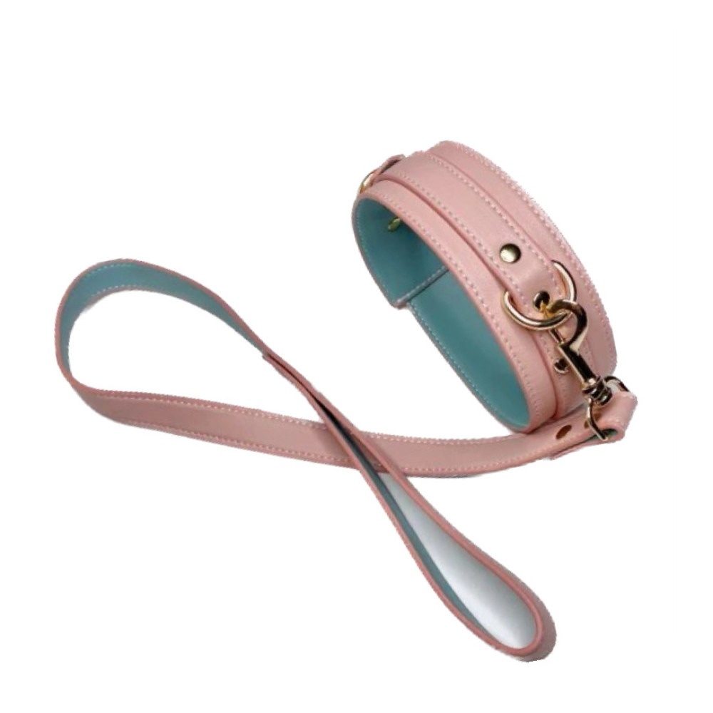 Ошейник с поводком Fetish Collar with leash розовый, фото №0 — секс шоп Украина, NO TABOO