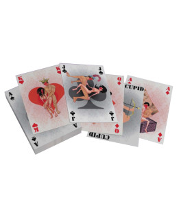 Карты с картинками камастуры Spielkarten - No Taboo