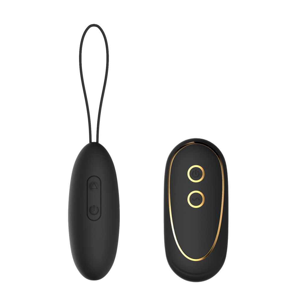 Виброяйцо Dream Toys Elize Elite с пультом, черное, 8 х 3 см фото №0 — секс игрушки: Украина, NO TABOO