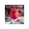 Вакуумный клиторальный стимулятор роза ADAM ET EVE EVE'S RAVISHING ROSE CLIT PLEASER фото №13 — секс игрушки: Украина, NO TABOO