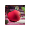 Вакуумный клиторальный стимулятор роза ADAM ET EVE EVE'S RAVISHING ROSE CLIT PLEASER фото №15 — секс игрушки: Украина, NO TABOO