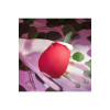 Вакуумный клиторальный стимулятор роза ADAM ET EVE EVE'S RAVISHING ROSE CLIT PLEASER фото №11 — секс игрушки: Украина, NO TABOO