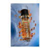 Массажное масло Exsens Organic Massage Oil Carnelian Apricot, 100 мл, фото №7 — секс шоп Украина, NO TABOO