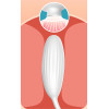 Виброяйцо с вакуумным стимулятором High End Suction Love Egg, розовое фото №11 — секс игрушки: Украина, NO TABOO