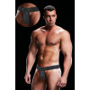 Эротические стринги мужские для стриптиза LOW-RISE THONG-GREY, (One size), фото №1 — секс шоп Украина, NO TABOO