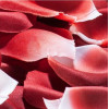Ароматизированные лепестки роз ROSE PETAL EXPLOSION от Bijoux Indiscrets, фото №3 — секс шоп Украина, NO TABOO