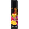 Гель-Лубрикант Wet Fun Passion Gleitgel, 302 мл, фото №1 — секс шоп Украина, NO TABOO