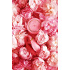 Вибратор для пар с пультом Versailles ZALO Fanfan Set Pink фото №11 — секс игрушки: Украина, NO TABOO