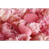 Вибратор для пар с пультом Versailles ZALO Fanfan Set Pink фото №13 — секс игрушки: Украина, NO TABOO