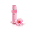 Вибропуля B3 Onye Fleur Rosa фото №1 — секс игрушки: Украина, NO TABOO