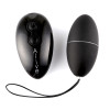 Виброяйцо Alive Magic Egg 2.0 Black фото №1 — секс игрушки: Украина, NO TABOO